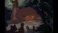 bambi-3
