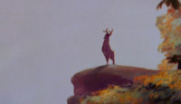 bambi-header2